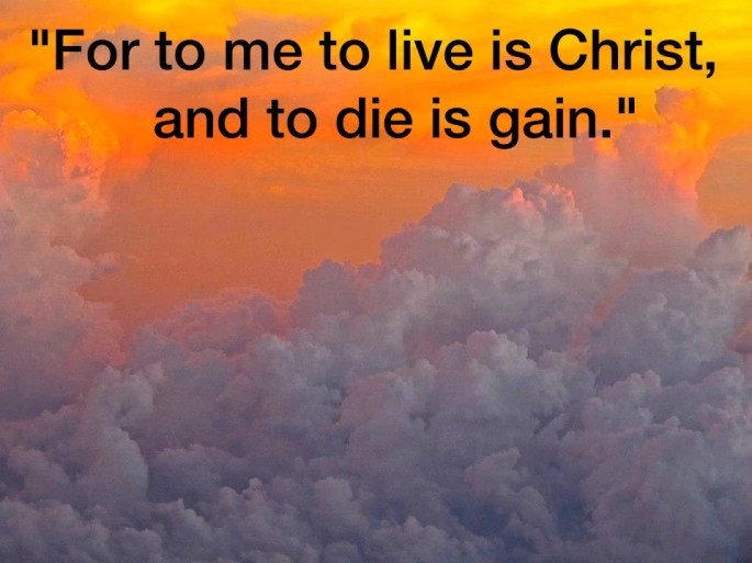 250673_433682370011961_928658990_n