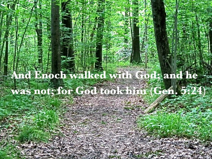 577571_396297700417095_253130602_n-1