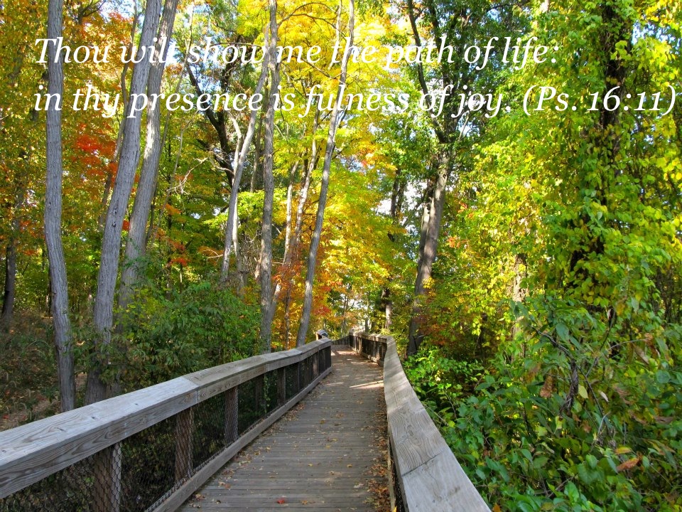 Rogue River Trail-Rockford, MI (Photo by: Mark J Booth)