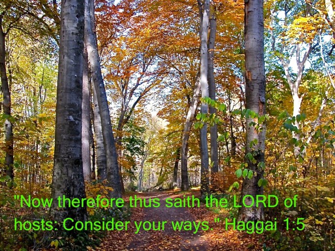 Bennett Park, Charlotte, Michigan, USA (Photo by Mark J Booth)