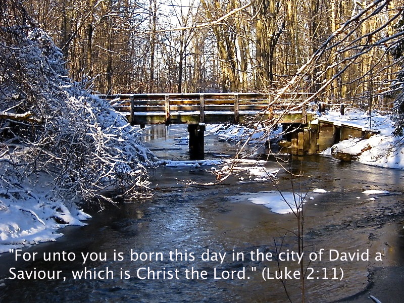 Bennett Park, Charlotte, MI  Photo by Mark J Booth