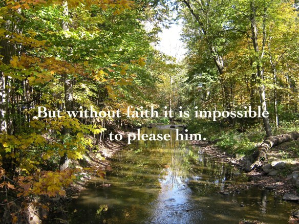 Charlotte, Michigan Photo by: Mark J Booth