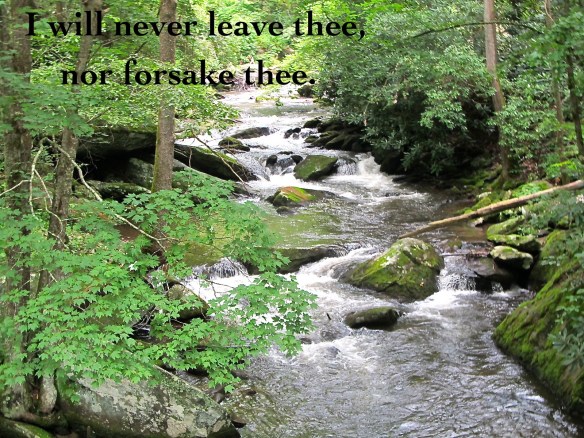 Near Fontana Dam, TN. 