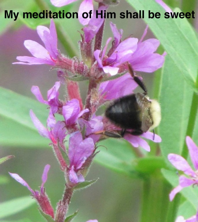 943683_569138159799714_75660708_n-2