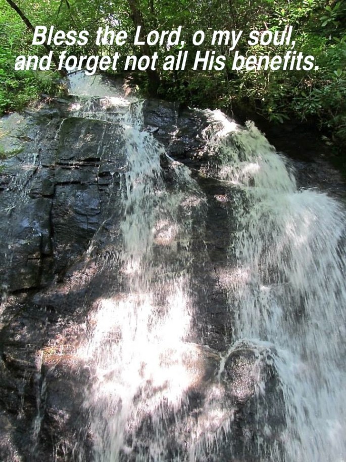 1005259_557387027641494_494314265_n